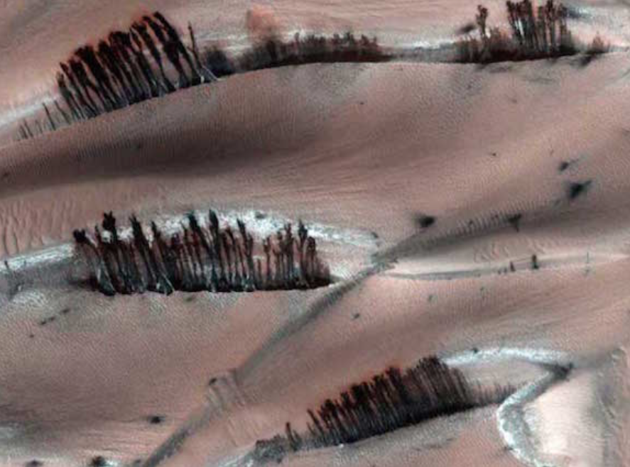 Une photo de Mars où on pourrait croire qu’apparaît une végétation qui ressemble à des cils