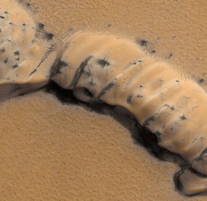 Une photo de Mars où le sol ressemble à une matière organique