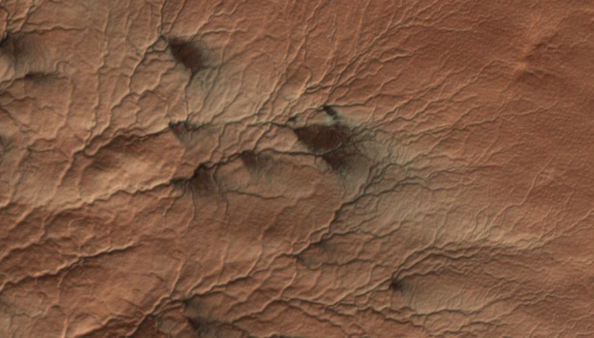 Une photo de Mars où le sol ressemble à une peau avec des veines